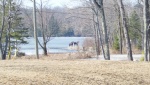 moose 2