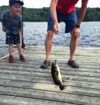 jacks bass
