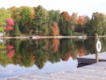 Autumn View
